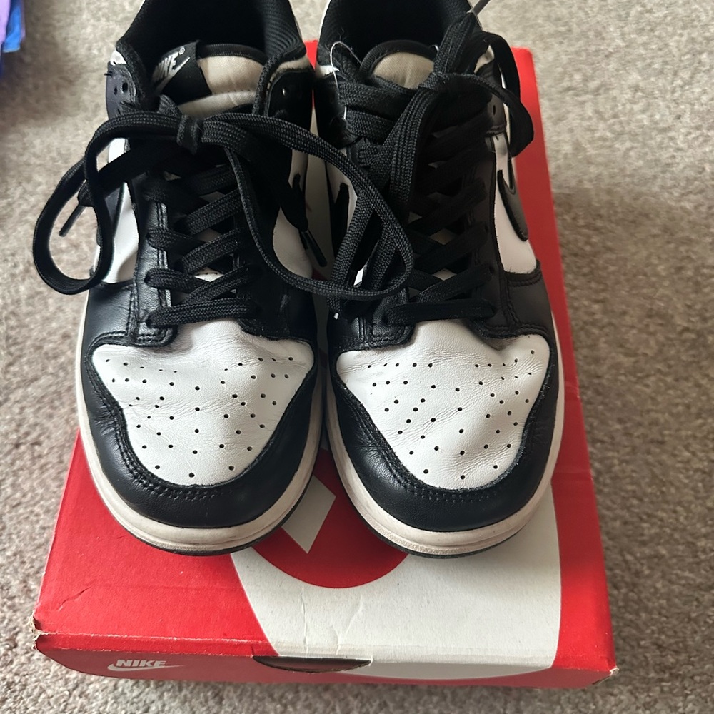 Women’s Nike Dunks Low